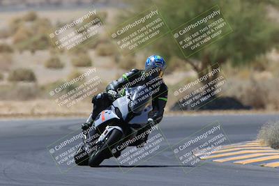 media/May-14-2023-SoCal Trackdays (Sun) [[024eb53b40]]/Turn 5 Tree of Life (1125am)/